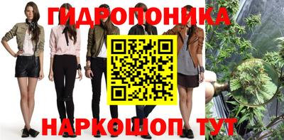 сатива Малгобек