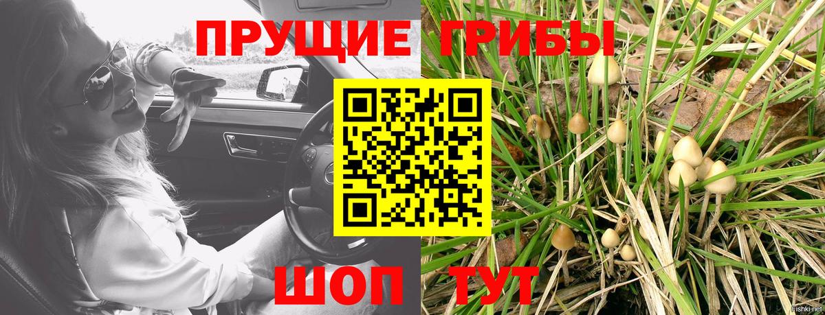 Псилоцибиновые грибы Psilocybine cubensis  Вход с VPN  что такое наркотик  Ставрополь 